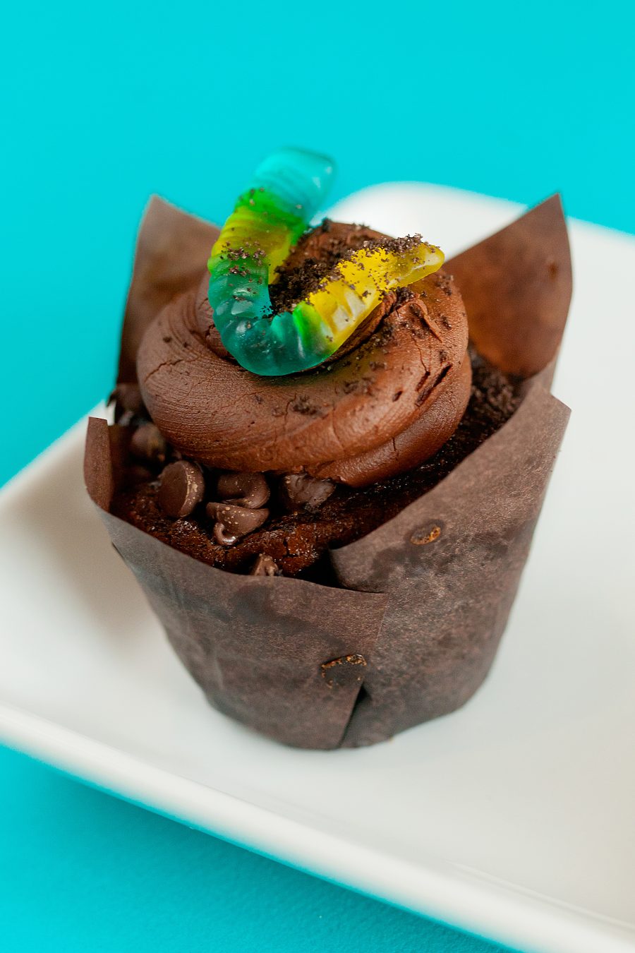 🚨50% OFF‼️ DIRT CUP🐛🔻SAME-DAY PICK UP🔻