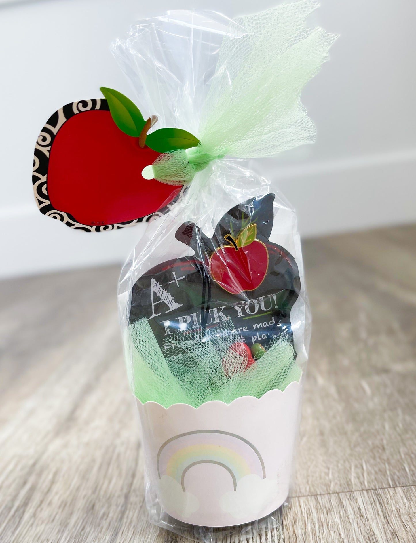 🚨DISCOUNTED‼️ TEACHER GIFT (Apple Pin)