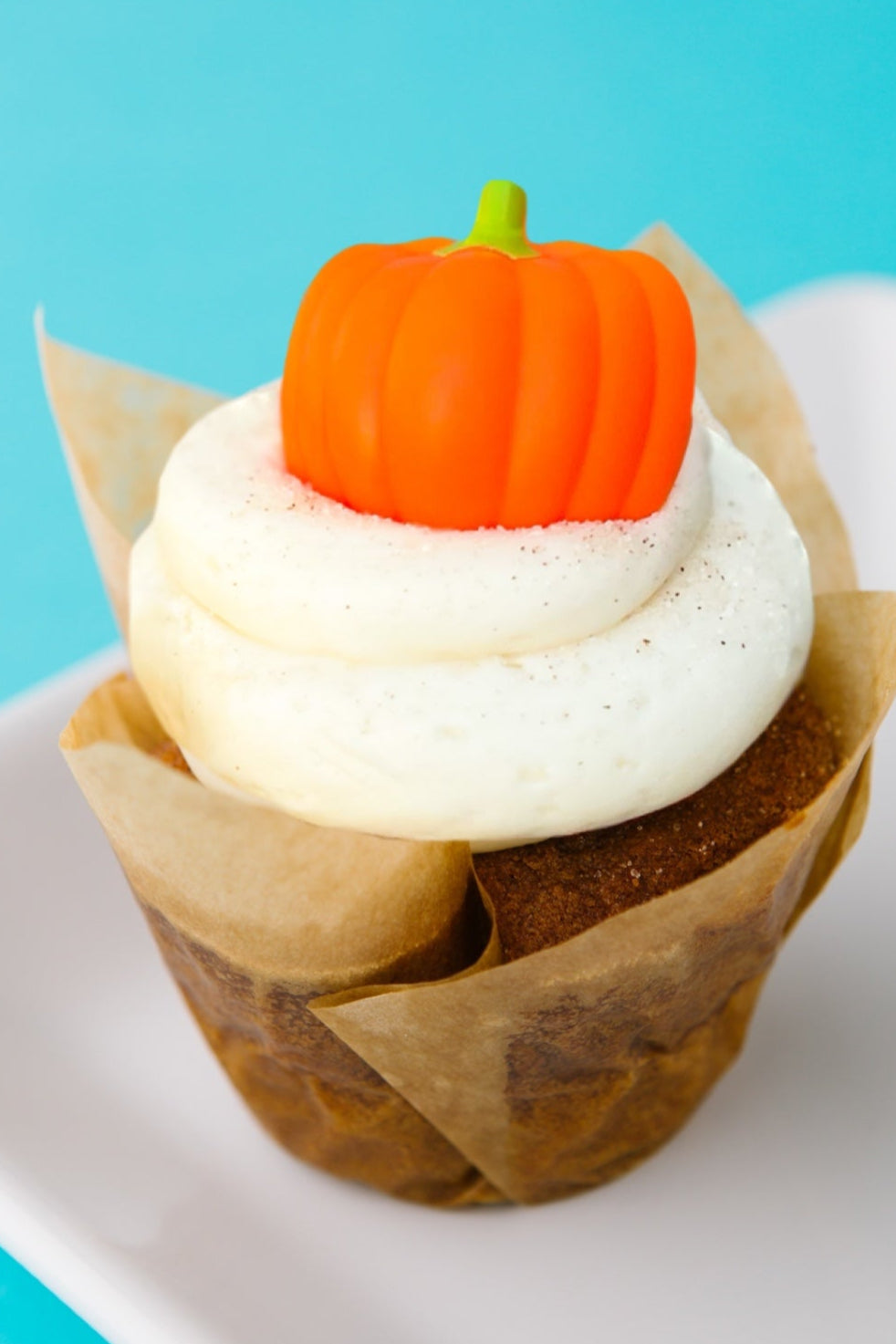 ⭐1 DZ PUMPKIN ⚠️FUTURE DATE PICK-UP⚠️(SEP-NOV)