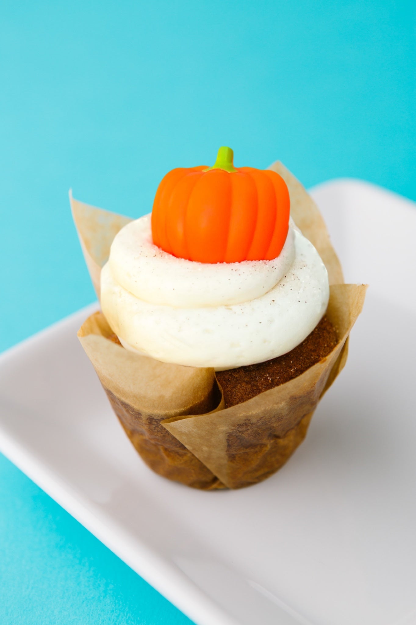 PUMPKIN🎃⚠️FUTURE-DATE PICK UP⚠️(SEP)