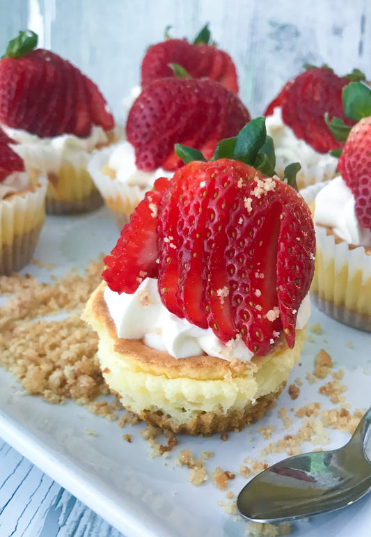 🔴CATERING: MINI CHEESECAKES