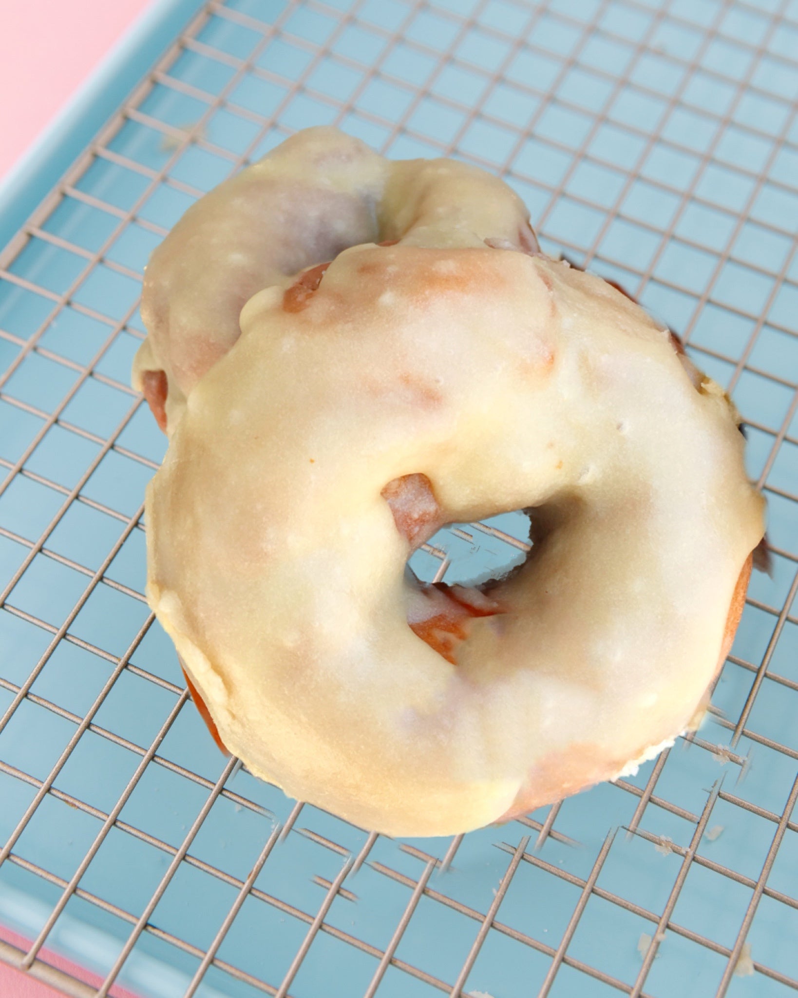 🍀MARCH🟢GF MAPLE🍩3.12.24