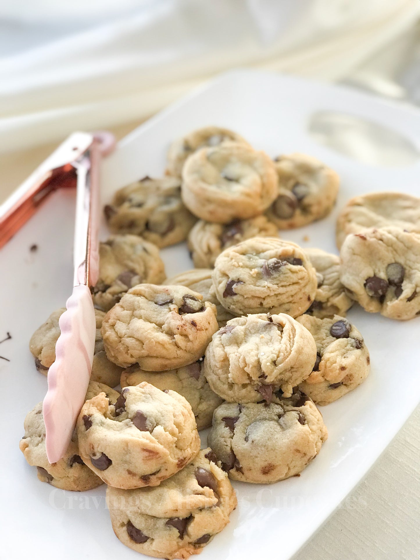 🔴CATERING: CHOCOLATE CHIP COOKIES