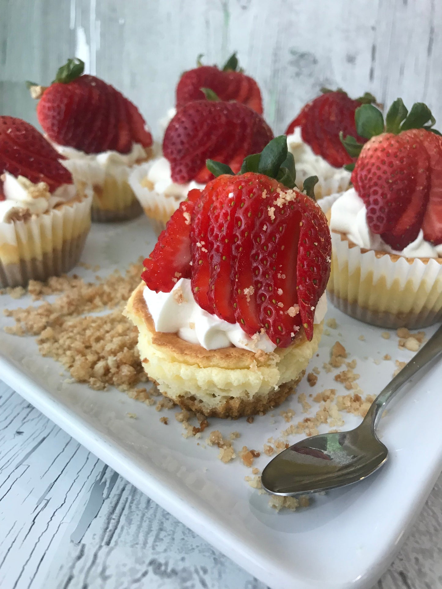 ⭐️All inclusive Catering Mini Cheesecakes