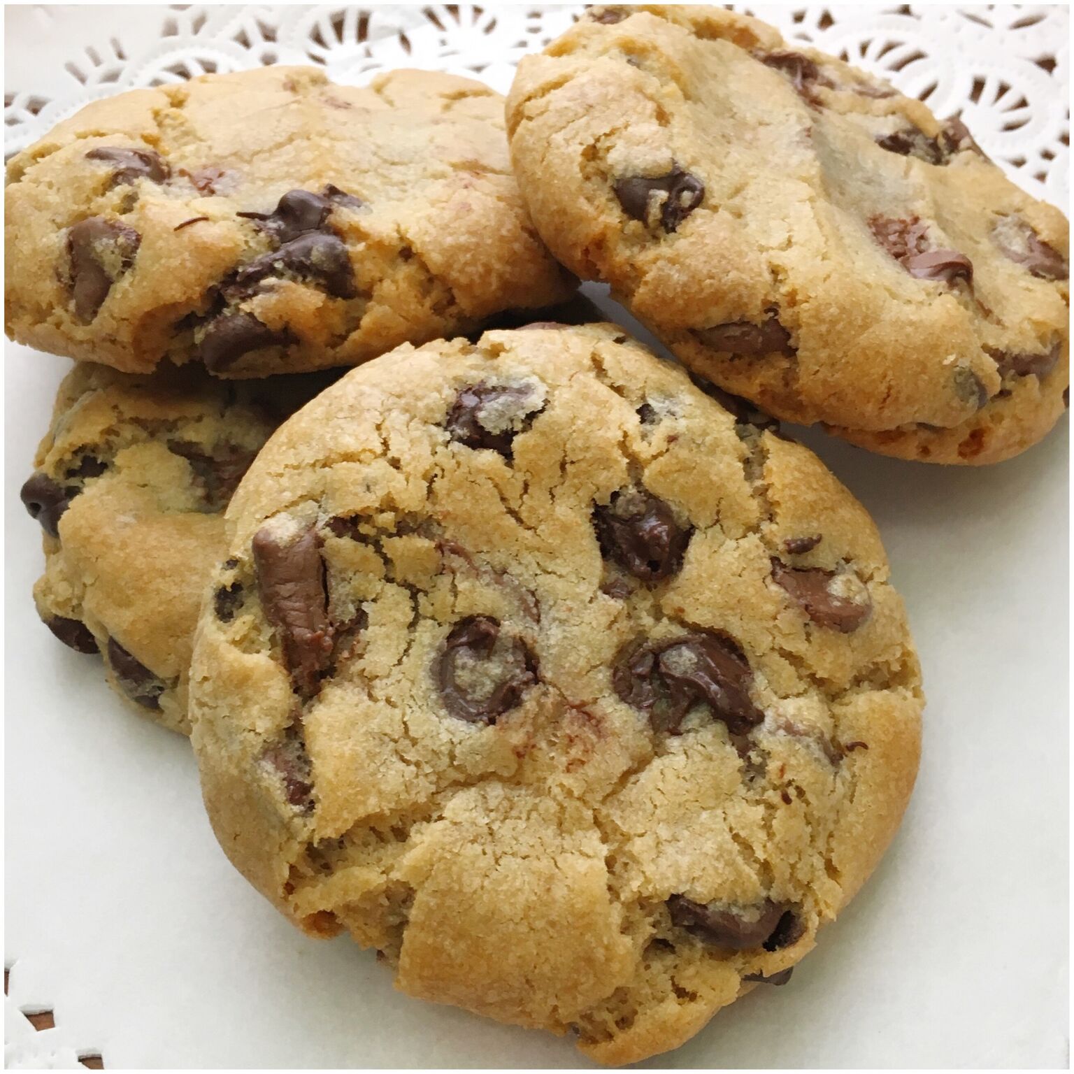 🔴CATERING: CHOCOLATE CHIP COOKIES